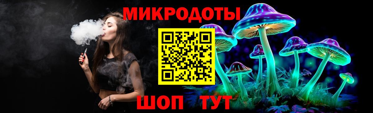 Бийск  Псилоцибиновые грибы прущие грибы  Вход с VPN  Галлюциногенные грибы Psilocybe 