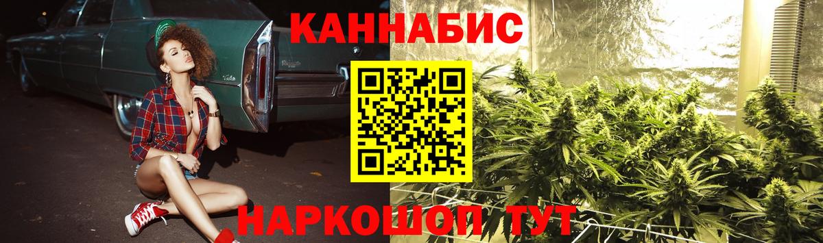 Бошки Шишки AK-47  Шишки марихуана сатива  МАРИХУАНА планчик  Марихуана план  Вход с VPN  Бийск 